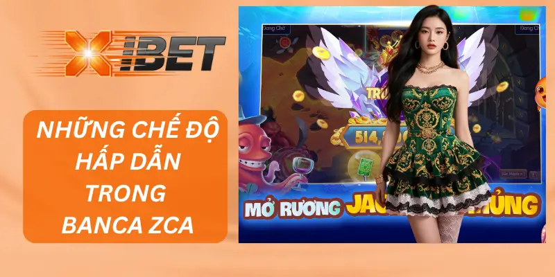 Những Chế Độ Hấp Dẫn Trong Banca Zca