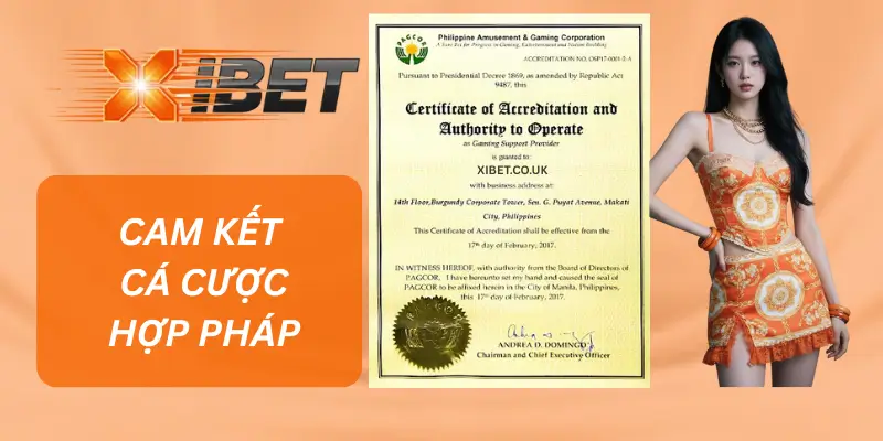 Giấy Phép Hoạt Động XIBET – Cam Kết Cá Cược Hợp Pháp