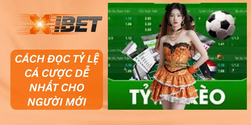 Cách Đọc Tỷ Lệ Cá Cược Dễ Nhất Cho Người Mới